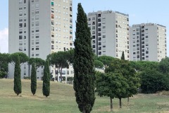 Tor Bella Monaca (Roma), Lazio